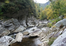 SONY DSC