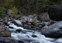 SONY DSC