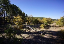 DSC05309