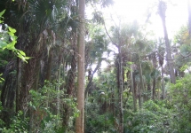 alexander-springs-045