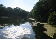 alexander-springs-051