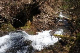 SONY DSC