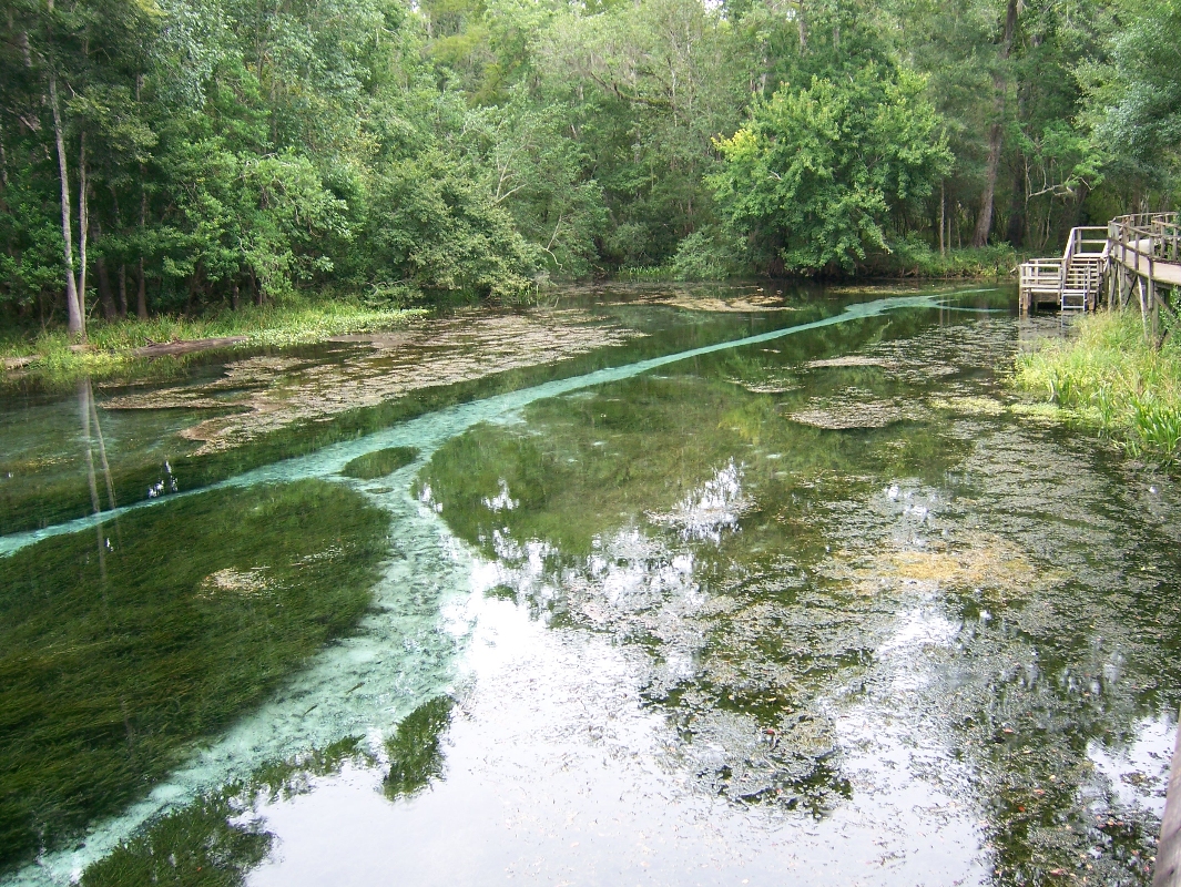 Blue Spring Waterway