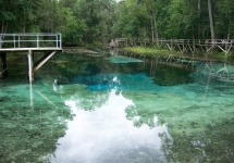 Blue Spring