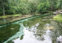 Blue Spring Waterway