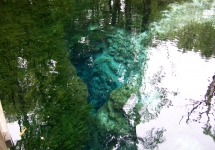 Naked Spring