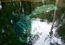 Naked Spring