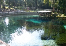Blue Spring