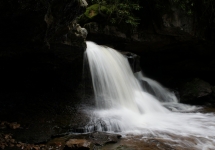 SONY DSC