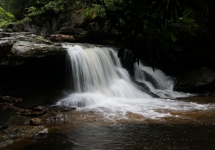 SONY DSC