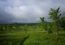 IMGP0692