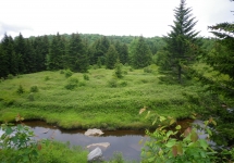 IMGP0698