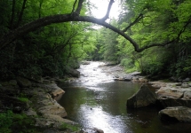 IMGP0713