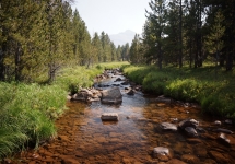 High Uintas Wilderness Backpacking August 2015 169