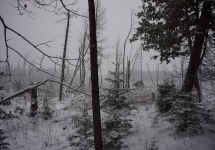 pigeon river winter camping 11