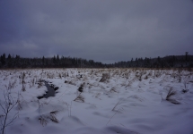 pigeon river winter camping 16