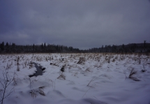 pigeon river winter camping 17