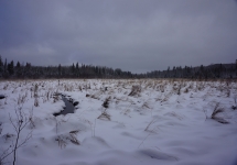 pigeon river winter camping 18