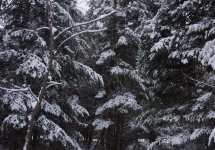 pigeon river winter camping 23