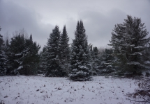 pigeon river winter camping 24