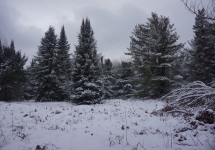 pigeon river winter camping 25