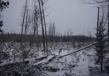 pigeon river winter camping 4