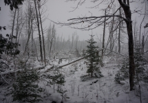 pigeon river winter camping 9