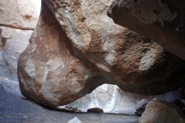 SONY DSC