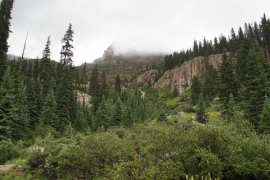 SONY DSC