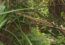 Nick's Trip To FL July 2007___20