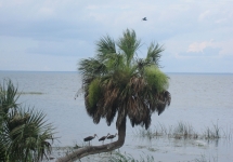 Silver Glen Springs 7-5-2007_21