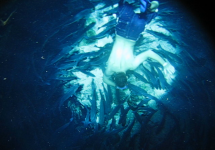 vlcsnap-2014-10-02-15h23m56s106