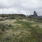 Looking Back At The Trail On Black Top Mesa