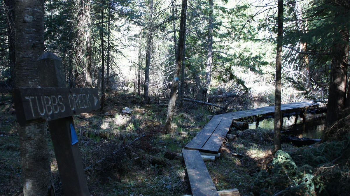 picture of the shelter at canada creek