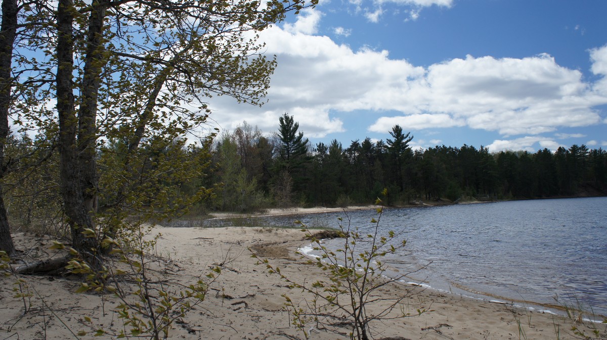 a lake made by beavers in the pigeon river country state forest