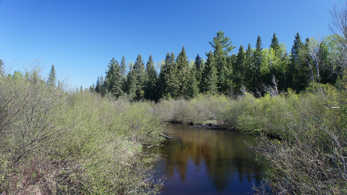 another view of canada creek