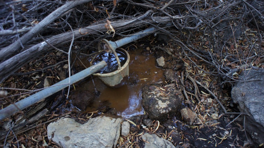 here's what bluff spring looks like