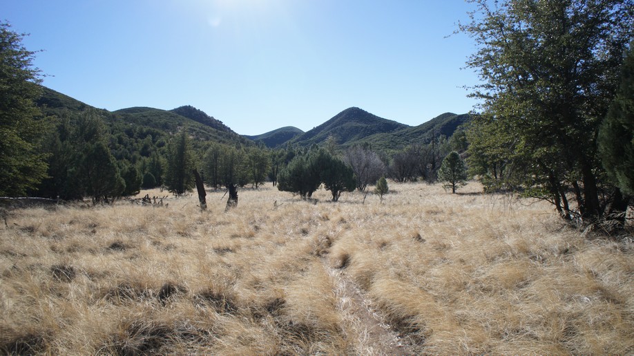 large open grassy fiels near reavis ranch