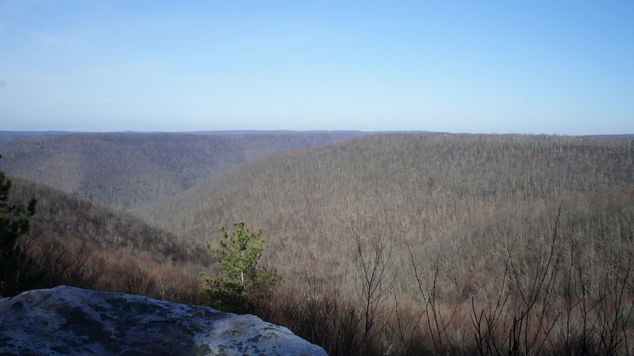 algerine wild area tiadaghton sf