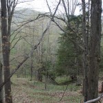 Jordan River Pathway Hiking Trail