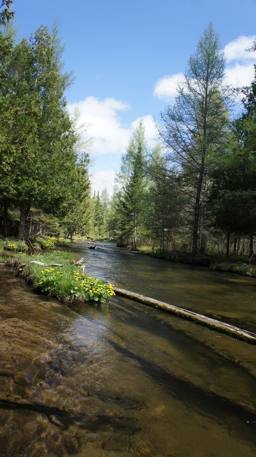 beautiful view of the jordan river, michigan