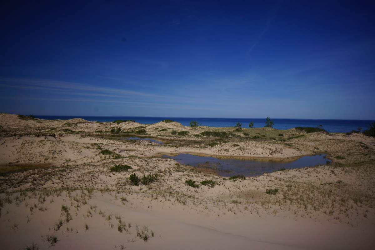 nordhouse dunes interdunal ponds