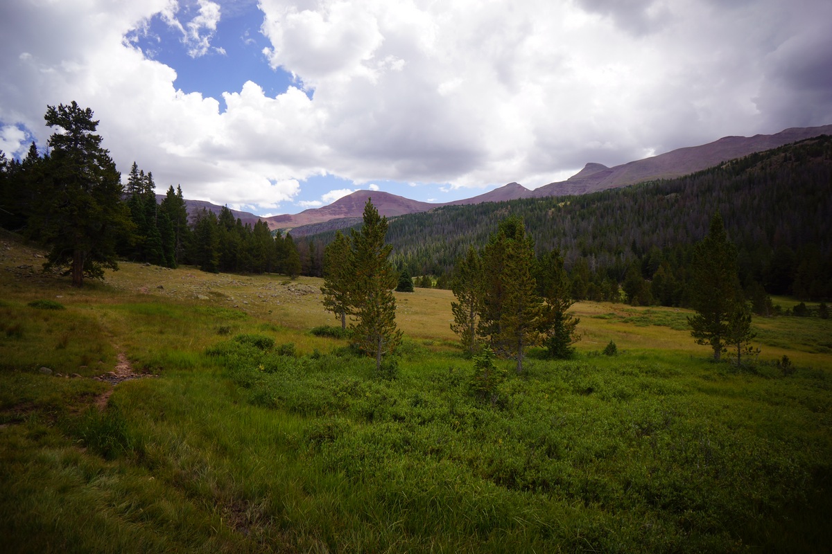 hiking on little east fork black's fork trail