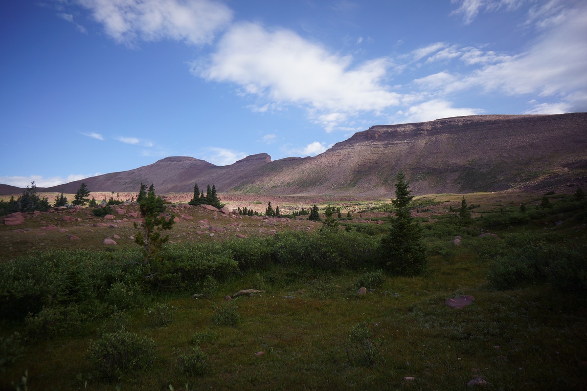 crest of the uintas mountains view in the uintas wilderness