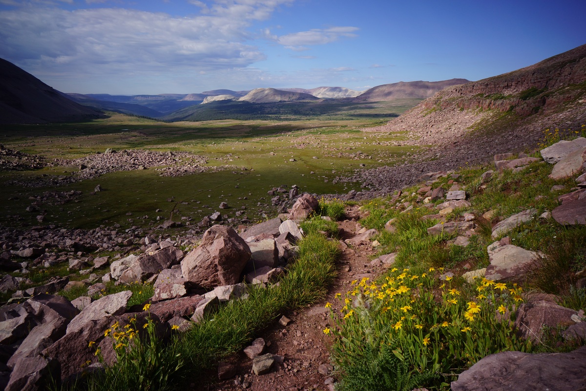 anderson pass trail view of upper yellowstone basin