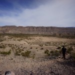 Mexican Desert