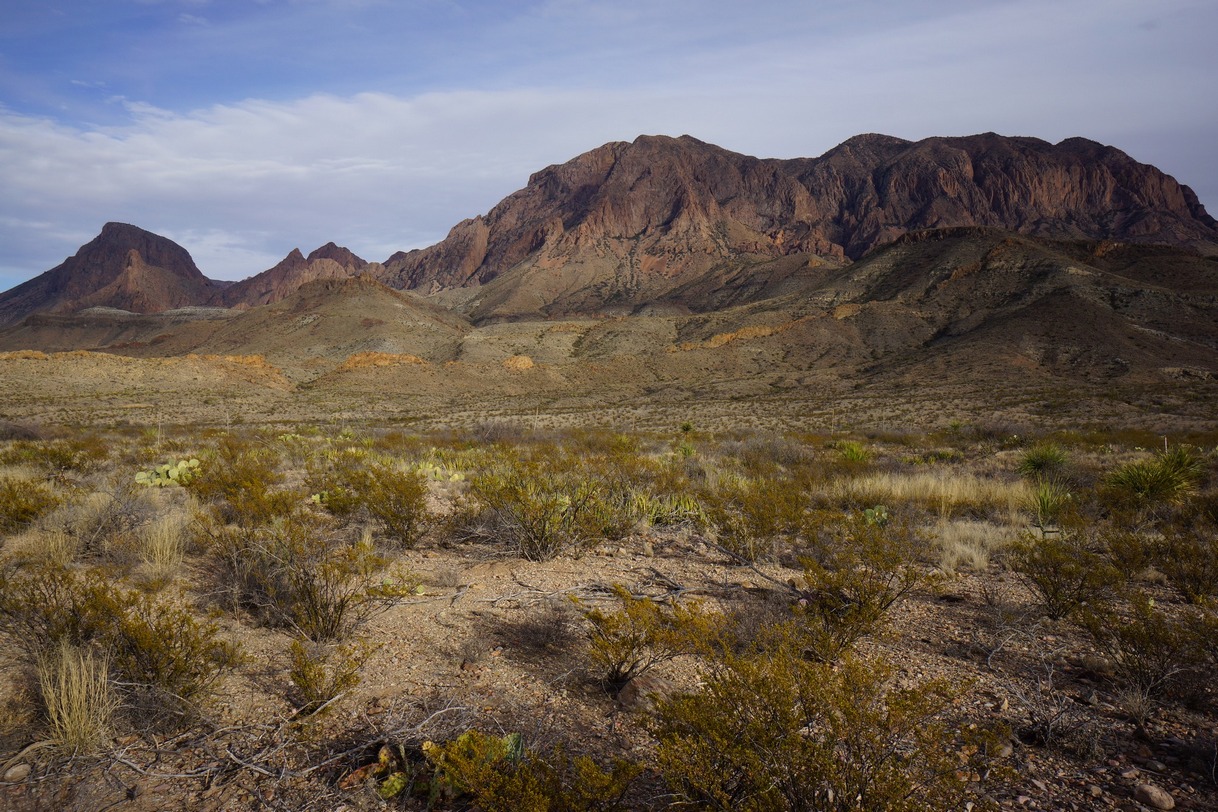views from the scenic drive in big bend national park