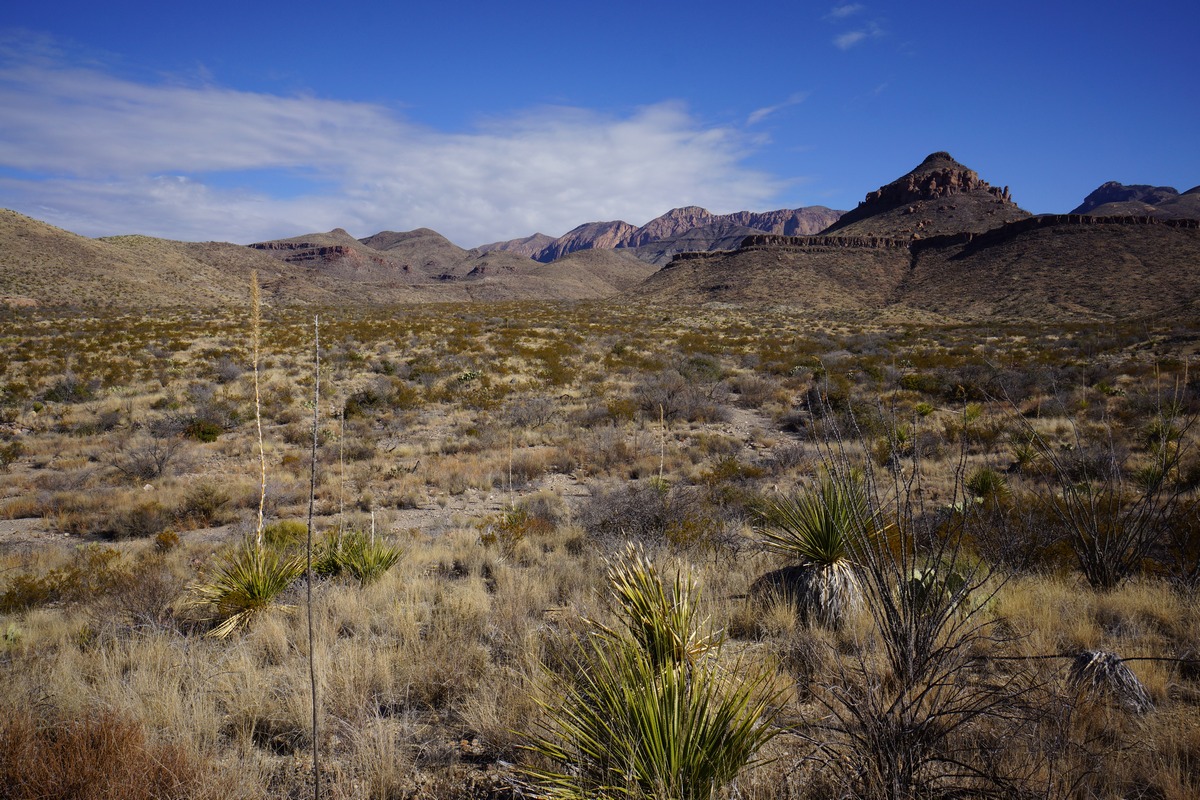 big bend naiton park off trail hiking near homer wilson ranch
