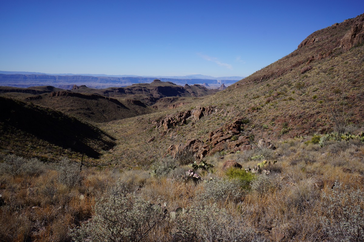 view from jack's pass in big bend national park looking to the west