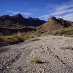 Dominguez Spring Trail
